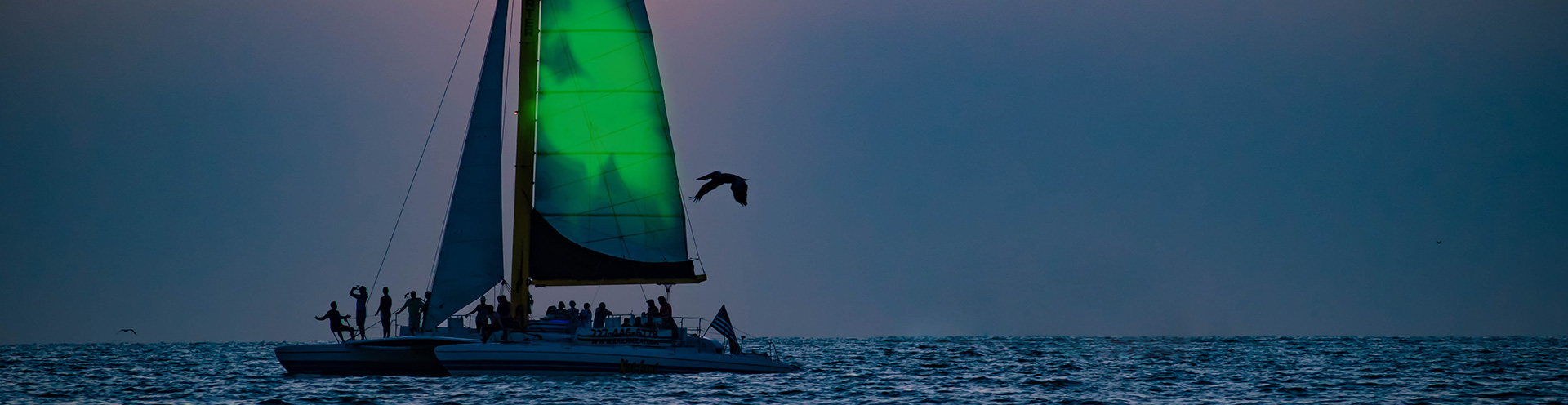 Green Sail Action